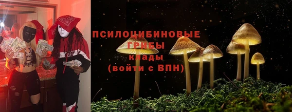 PSILOCYBIN Балабаново