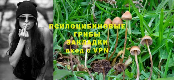 а пвп мука Баксан