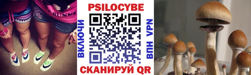 где купить наркотик  Обоянь  Галлюциногенные грибы GOLDEN TEACHER 